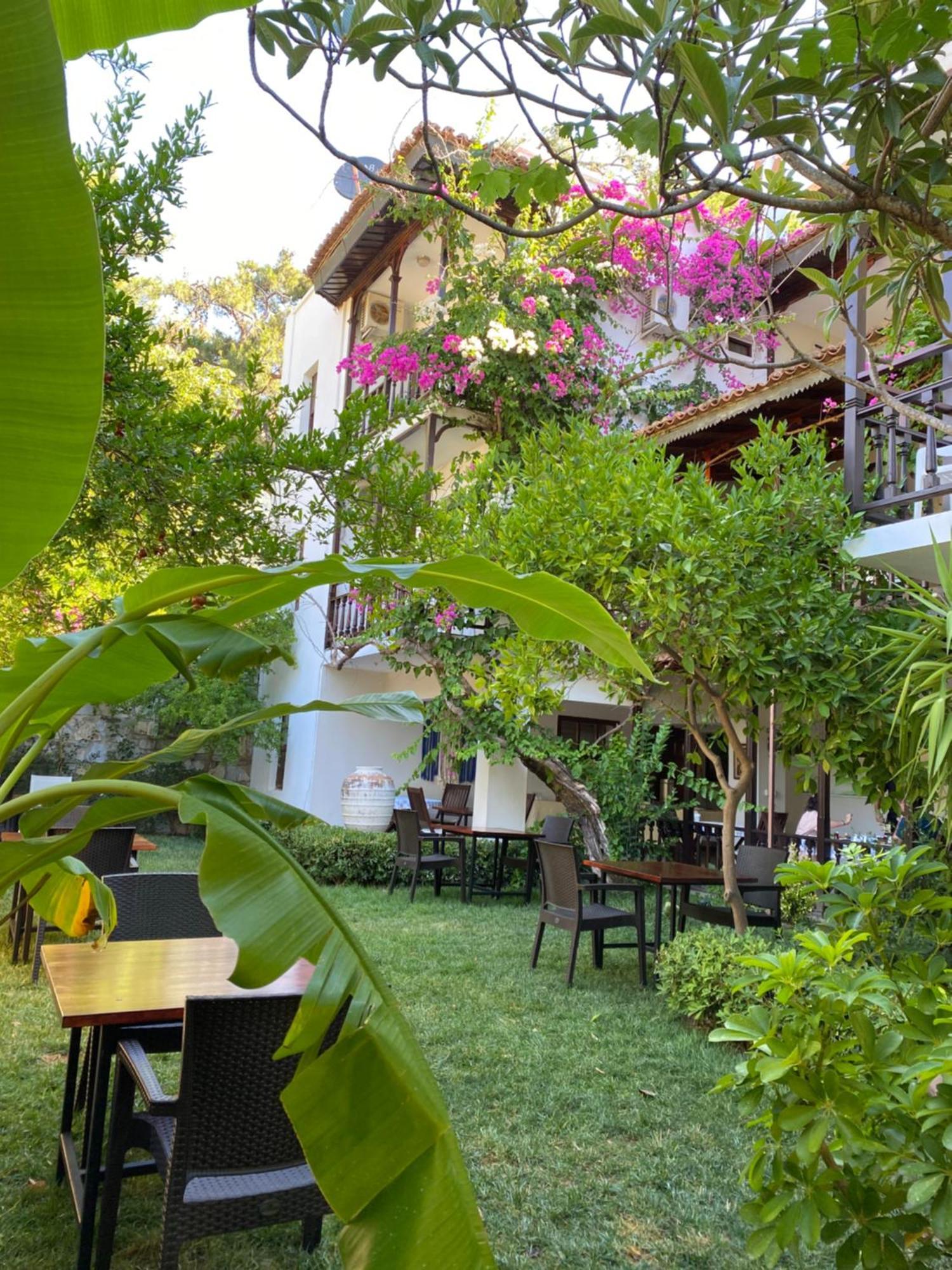 Totelya Hotel اكياكا المظهر الخارجي الصورة
