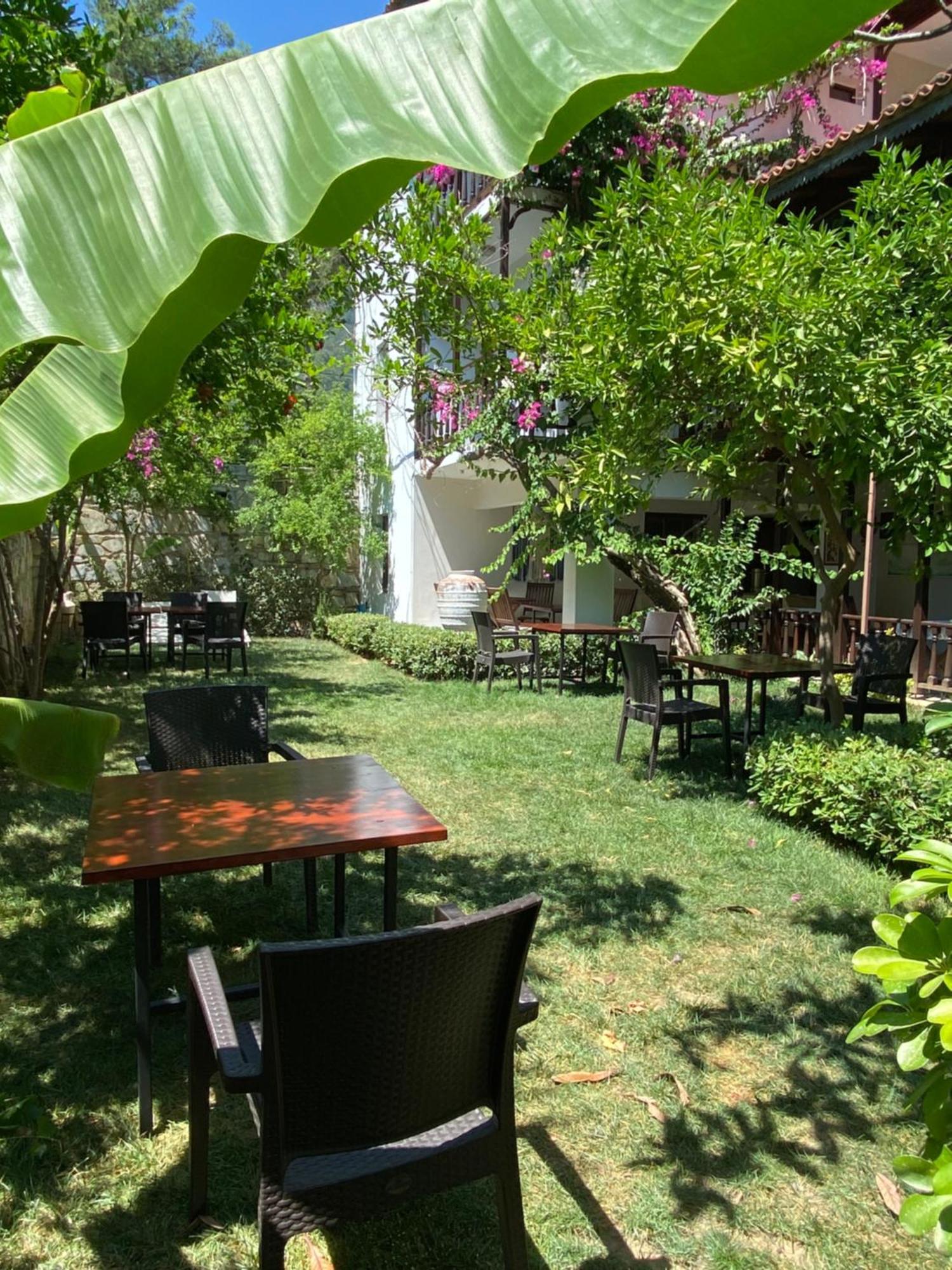 Totelya Hotel اكياكا المظهر الخارجي الصورة