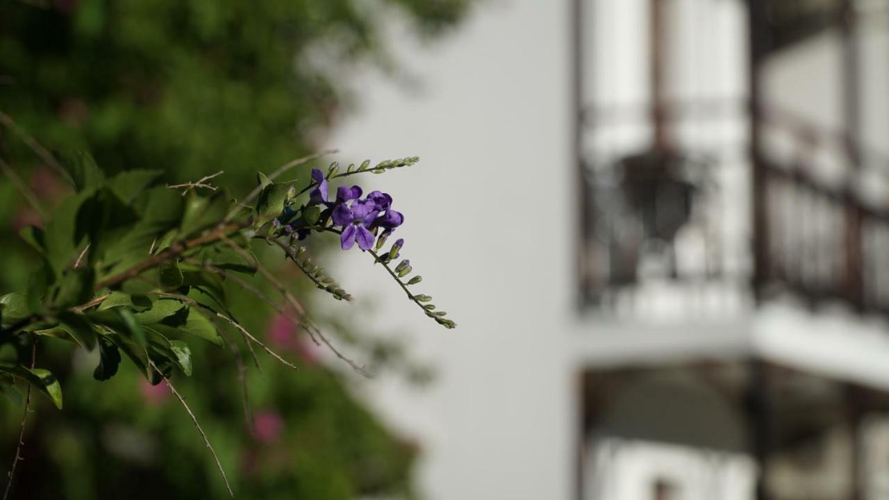 Totelya Hotel اكياكا المظهر الخارجي الصورة