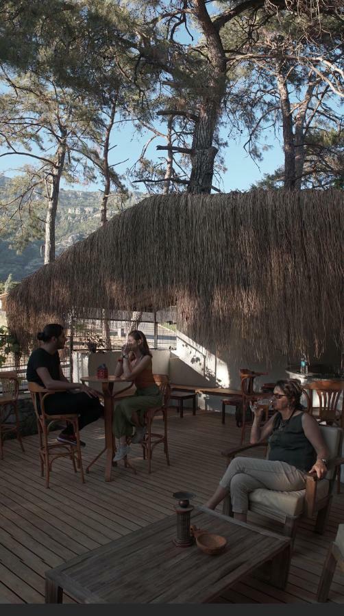 Totelya Hotel اكياكا المظهر الخارجي الصورة